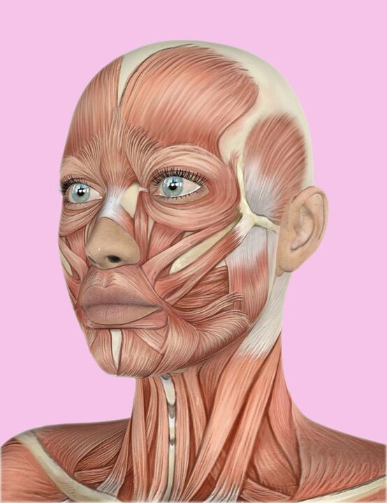Tissus pour le visage humain