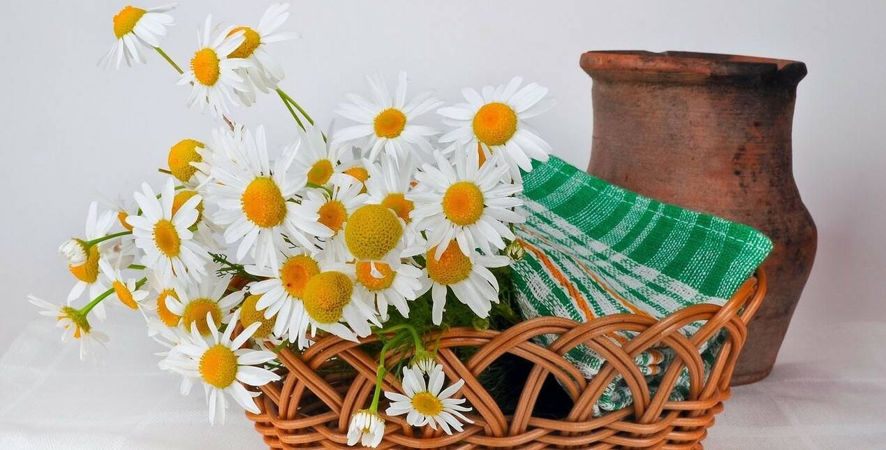 comment faire un tonique pour le visage à partir de fleurs de camomille